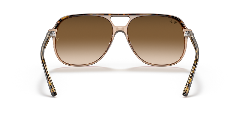 Havana On Transparent Brown