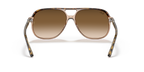 Havana On Transparent Brown