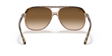 Havana On Transparent Brown
