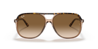 Havana On Transparent Brown