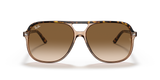 Havana On Transparent Brown