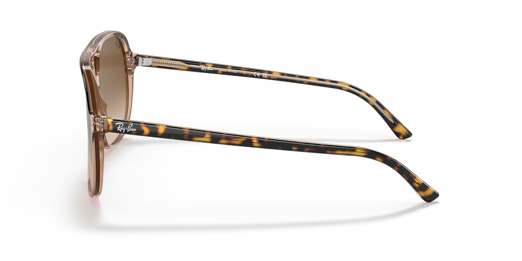 Havana On Transparent Brown