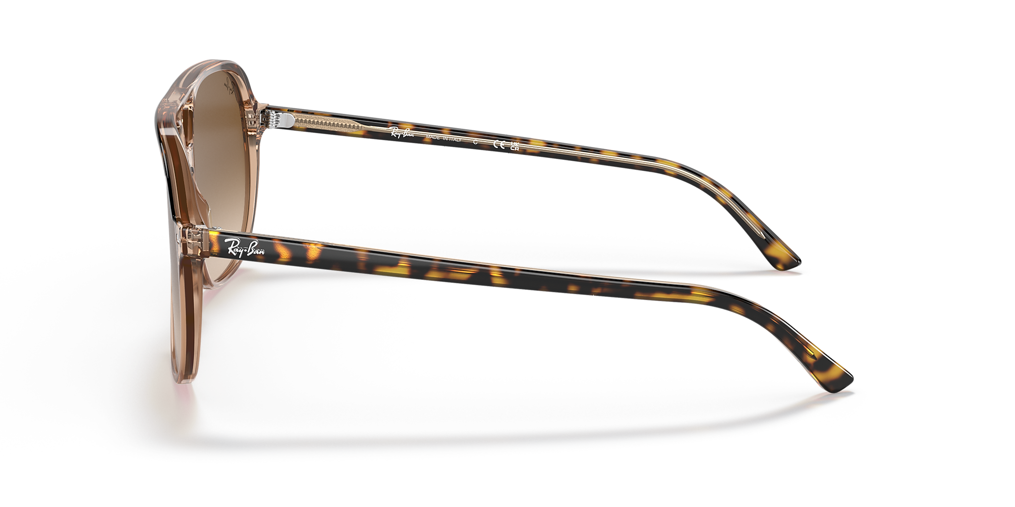 Havana On Transparent Brown