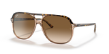 Havana On Transparent Brown