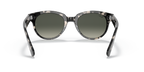 Grey Havana