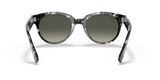 Grey Havana