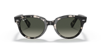 Grey Havana
