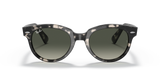 Grey Havana