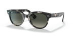Grey Havana