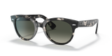 Grey Havana