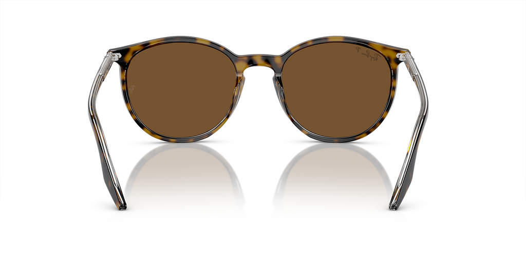 Havana On Transparent
