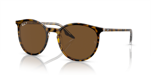Havana On Transparent  - Brown