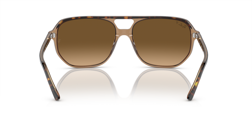Havana On Transparent Brown
