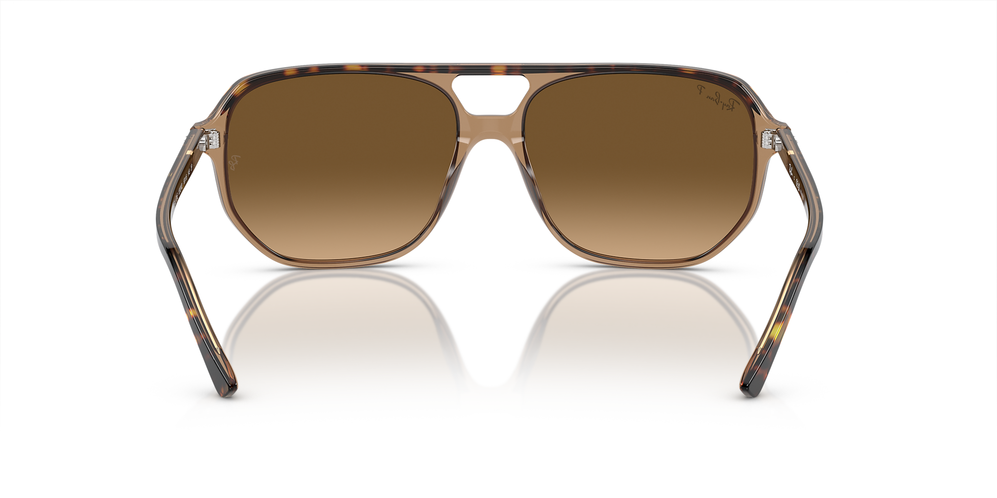 Havana On Transparent Brown