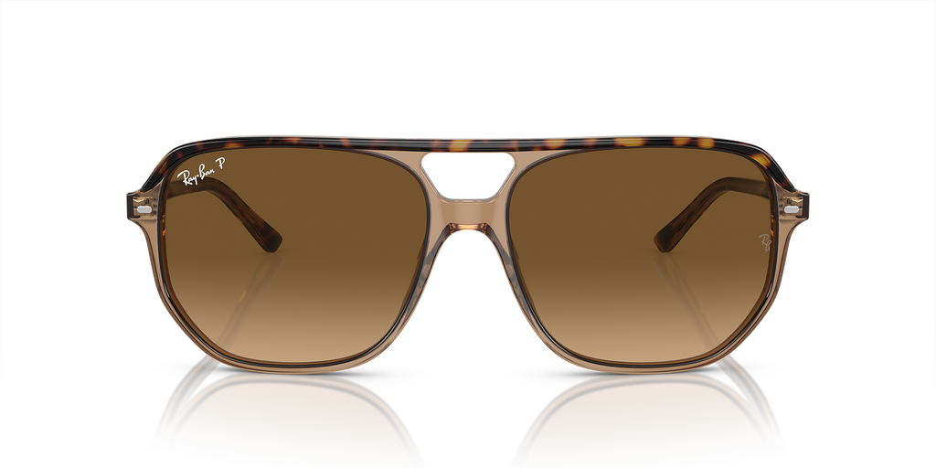 Havana On Transparent Brown