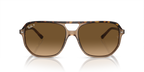 Havana On Transparent Brown
