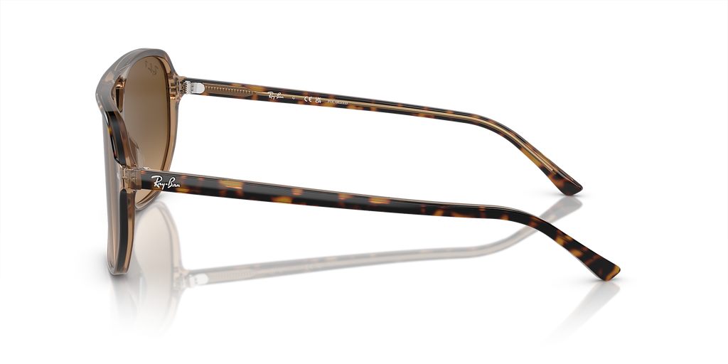 Havana On Transparent Brown