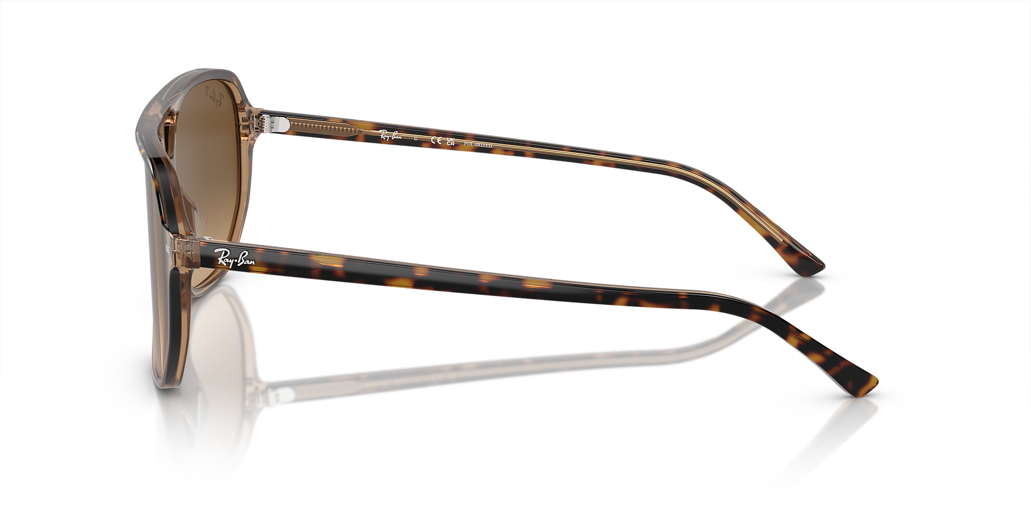Havana On Transparent Brown