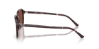 Transparent Fantasy Violet & Red