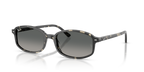 Grey Havana