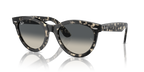 Grey Havana