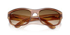 Striped Brown