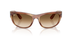 Striped Brown