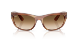 Striped Brown