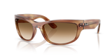 Striped Brown