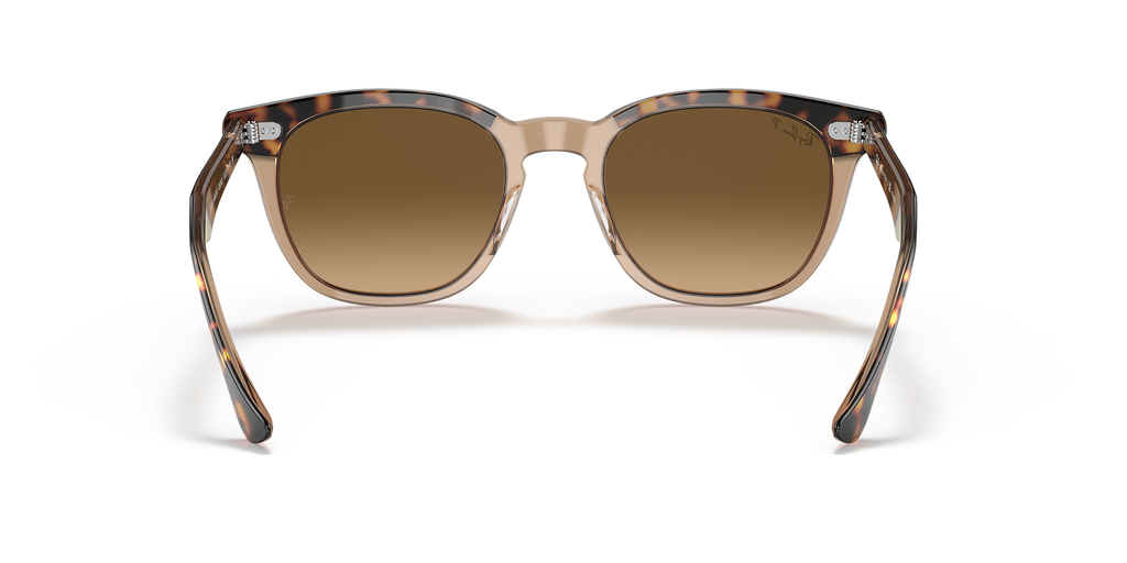 Havana On Transparent Brown