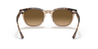 Havana On Transparent Brown