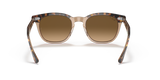 Havana On Transparent Brown