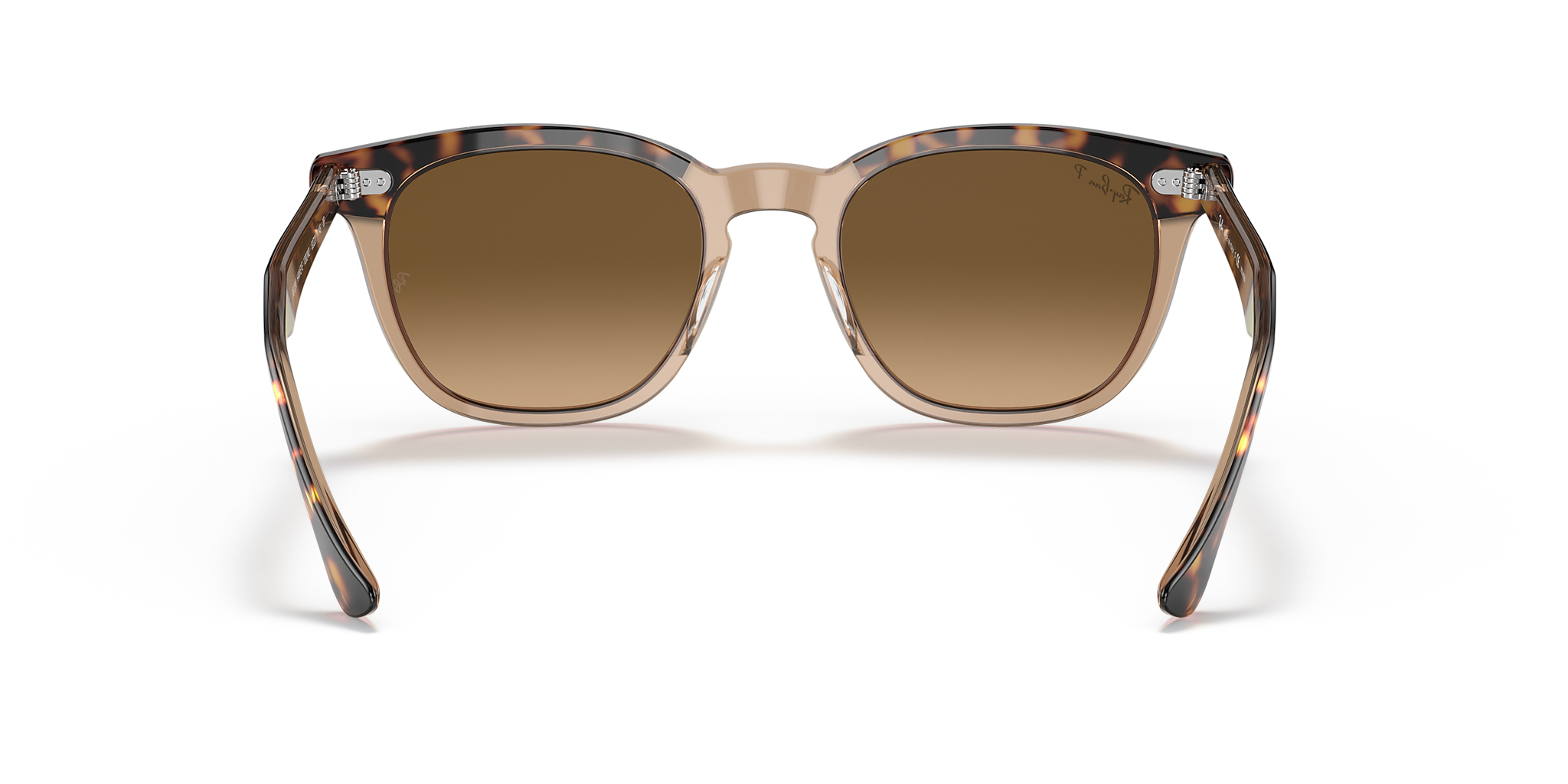 Havana On Transparent Brown