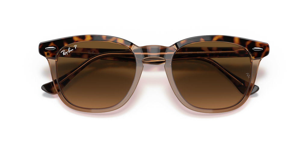 Havana On Transparent Brown