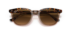 Havana On Transparent Brown