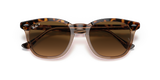 Havana On Transparent Brown