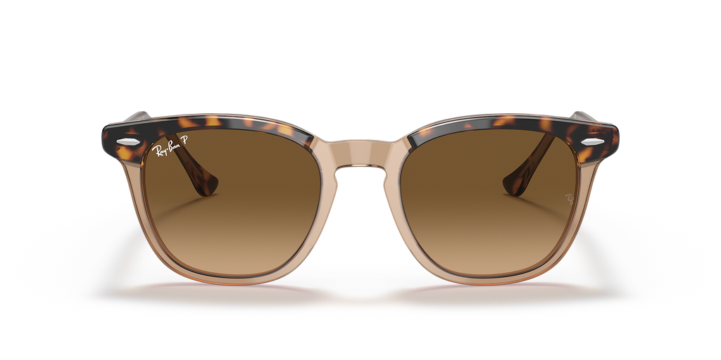 Havana On Transparent Brown