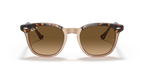 Havana On Transparent Brown