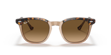 Havana On Transparent Brown