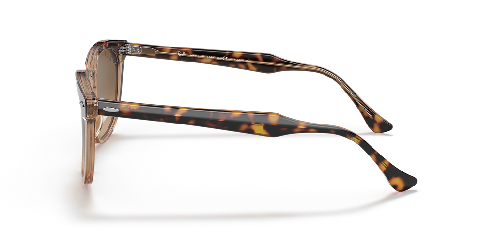 Havana On Transparent Brown