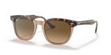 Havana On Transparent Brown