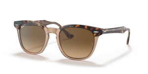 Havana On Transparent Brown  - Brown