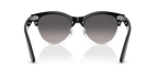 Black On Silver