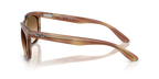 Striped Brown