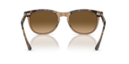 Havana On Transparent Brown