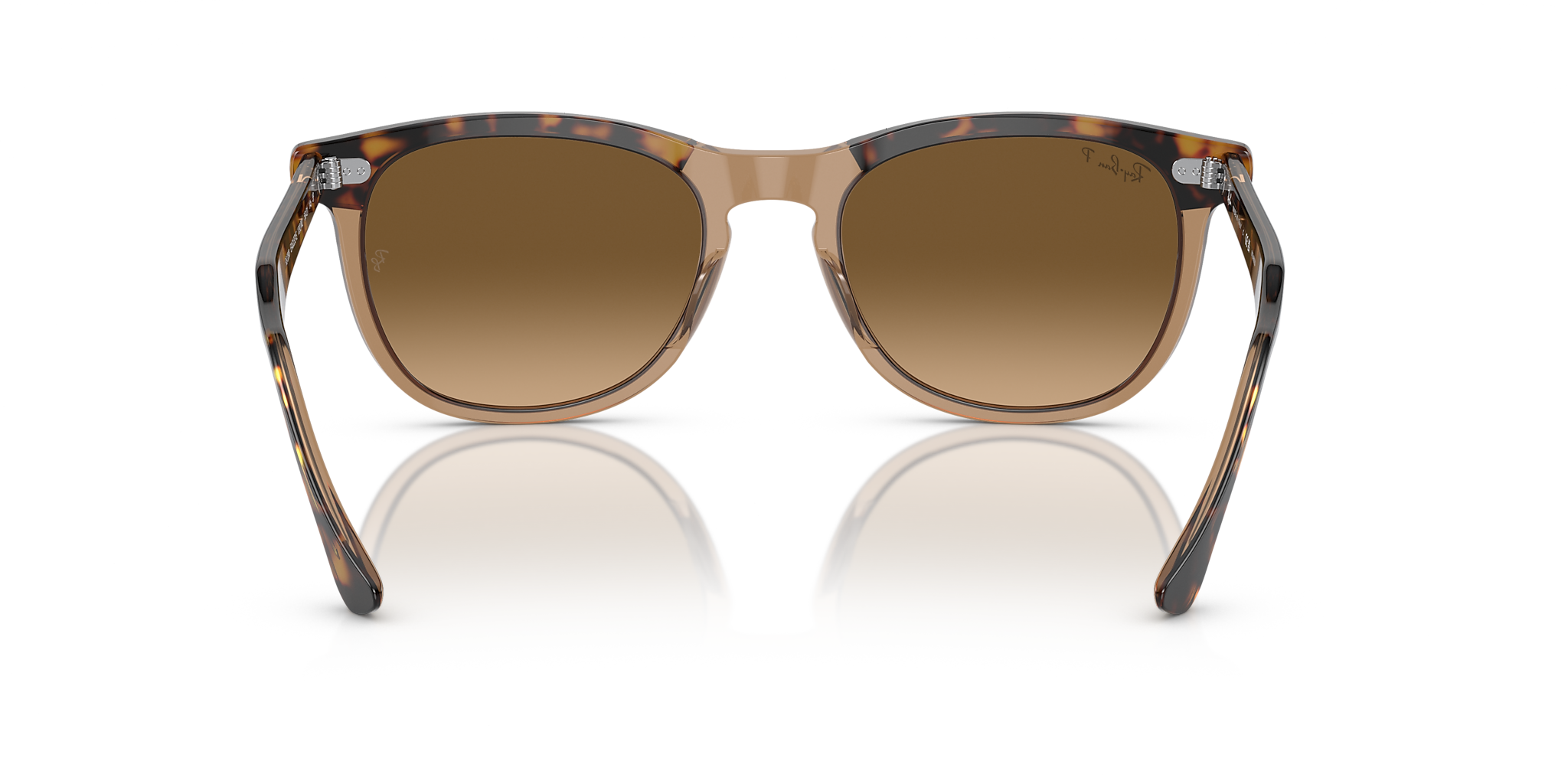 Havana On Transparent Brown