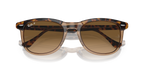 Havana On Transparent Brown