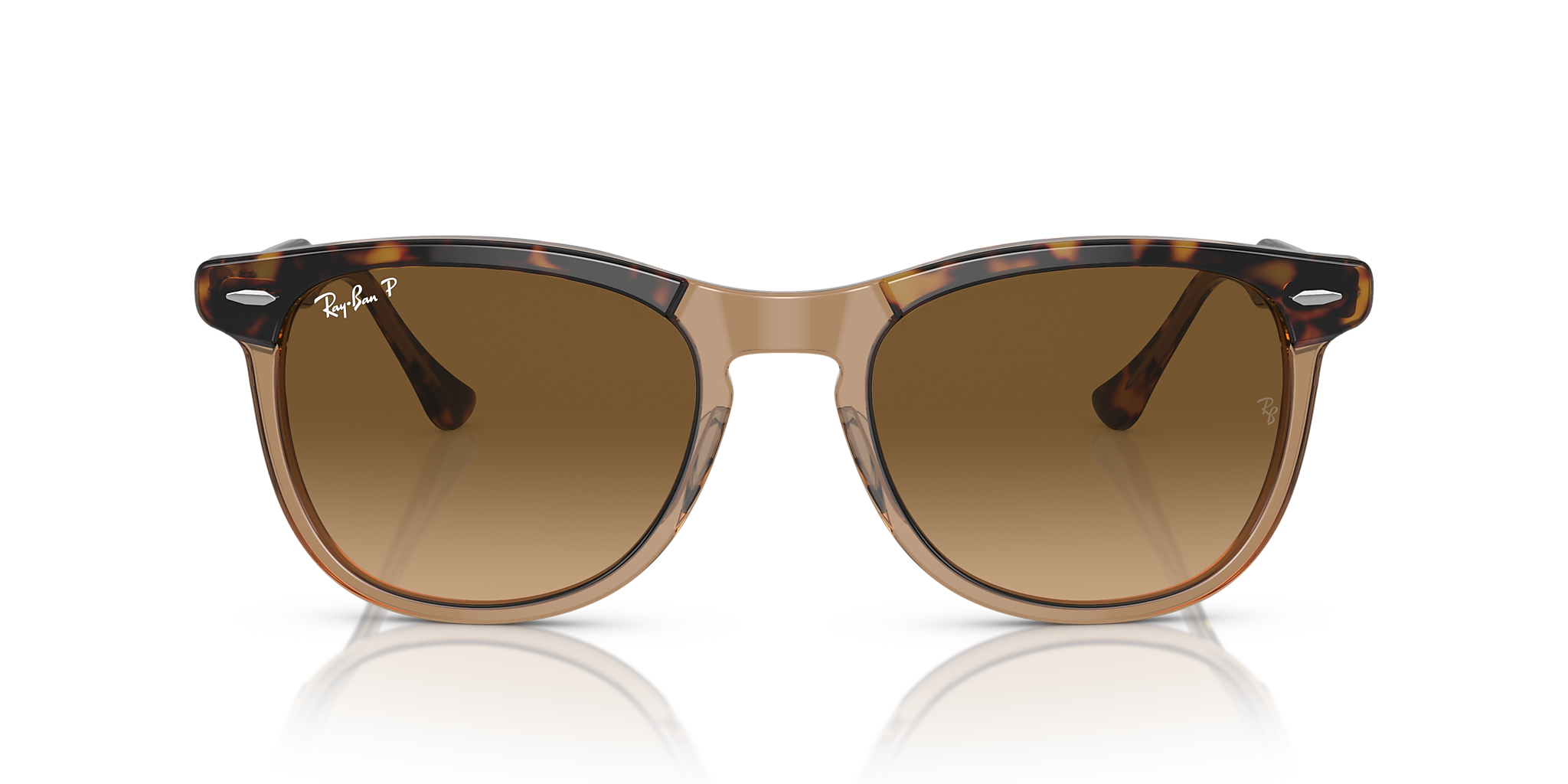 Havana On Transparent Brown