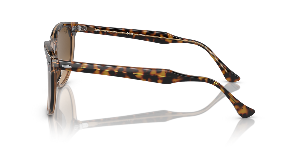 Havana On Transparent Brown