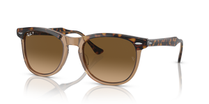 Havana On Transparent Brown  - Brown